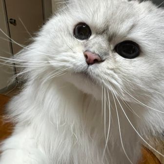 り い