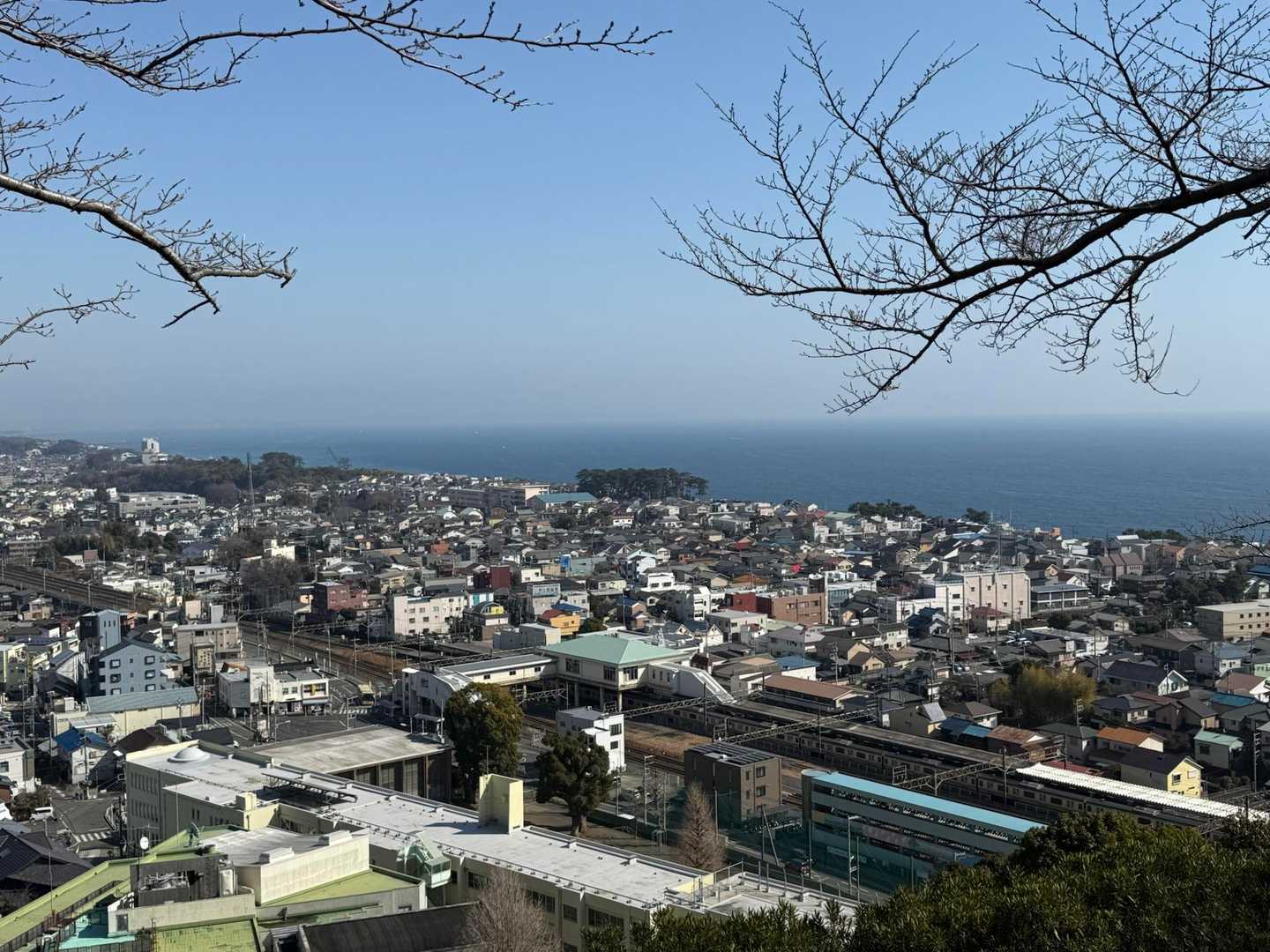 とてもキレイな菜の花や水仙が見られて満足、満足🙆‍♂️

今日も怪我なく無事に下山出来ました。
ありがとうございました🙏