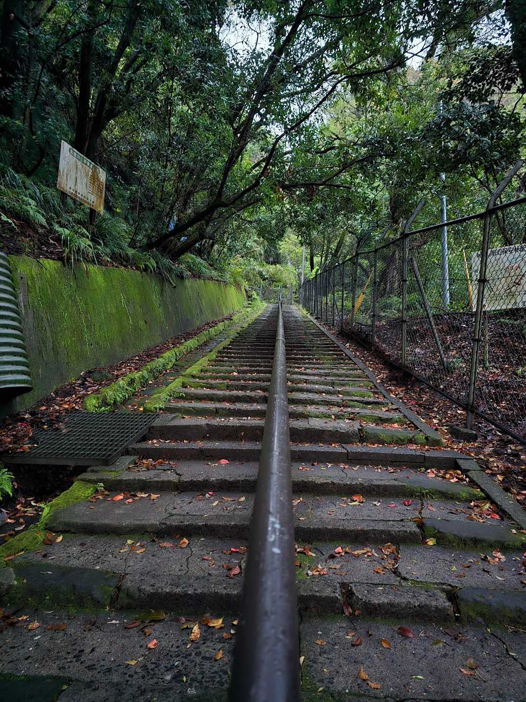 展望台駐車場までずっと階段。