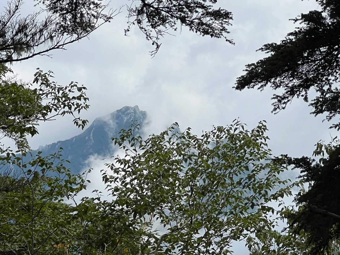 唐沢岳