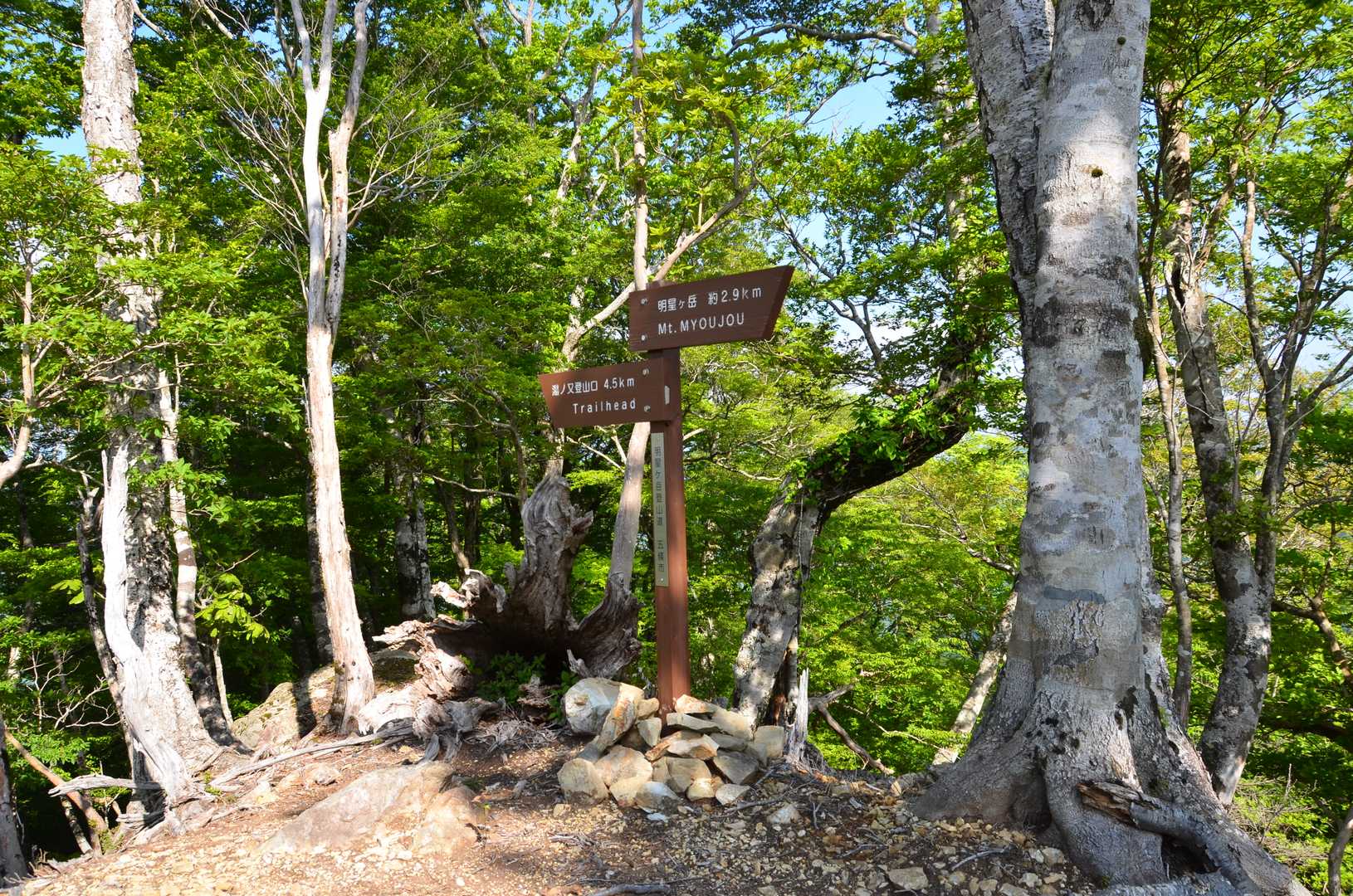 細尾山 周回コースの写真