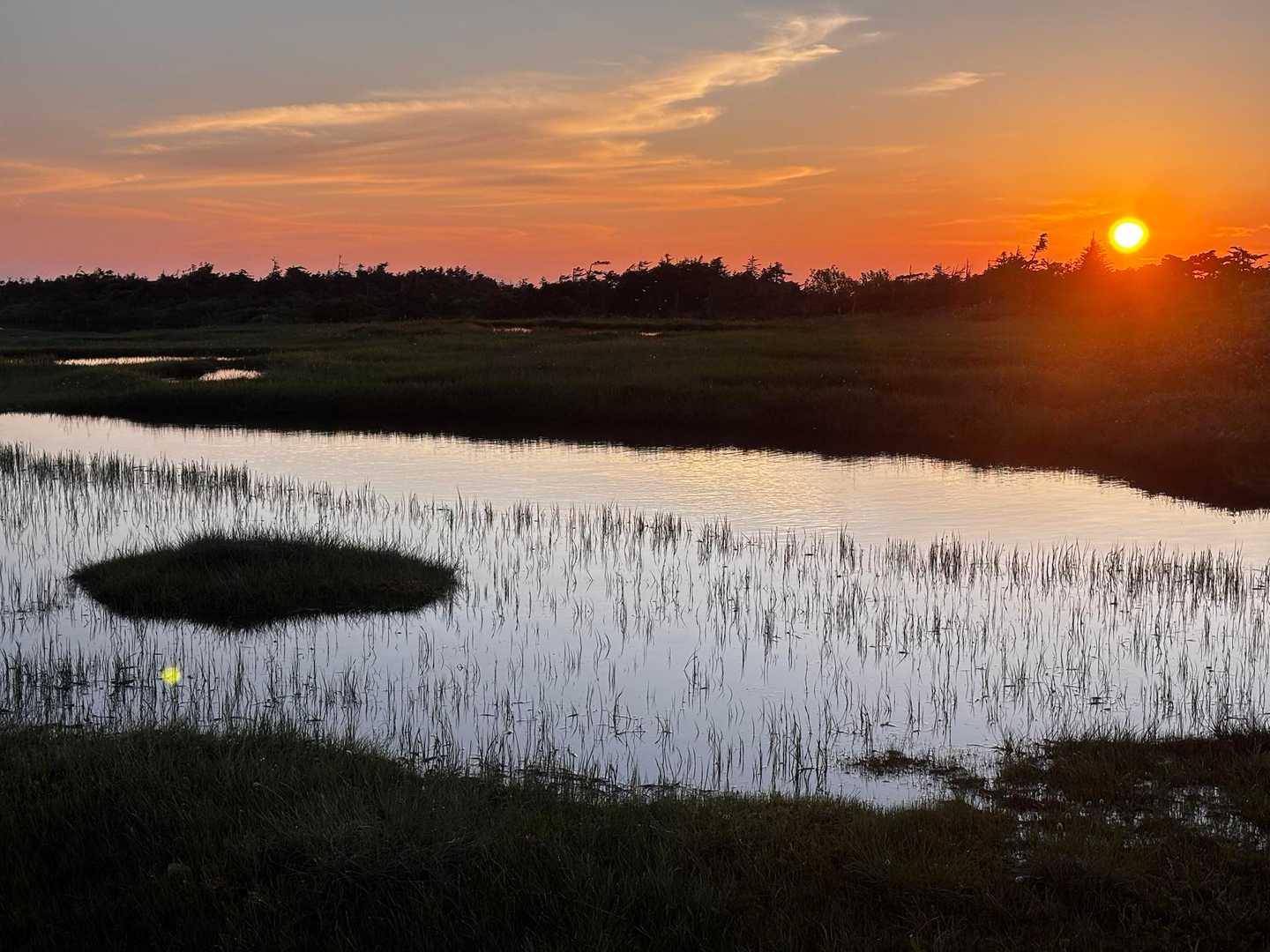 湿原側から見た夕日