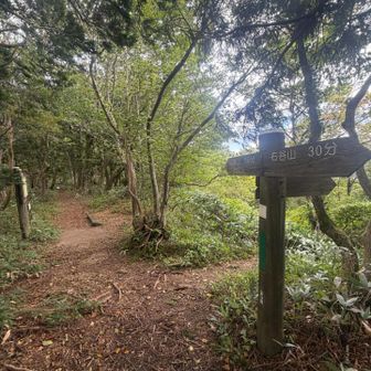 山頂まであと80分、、、