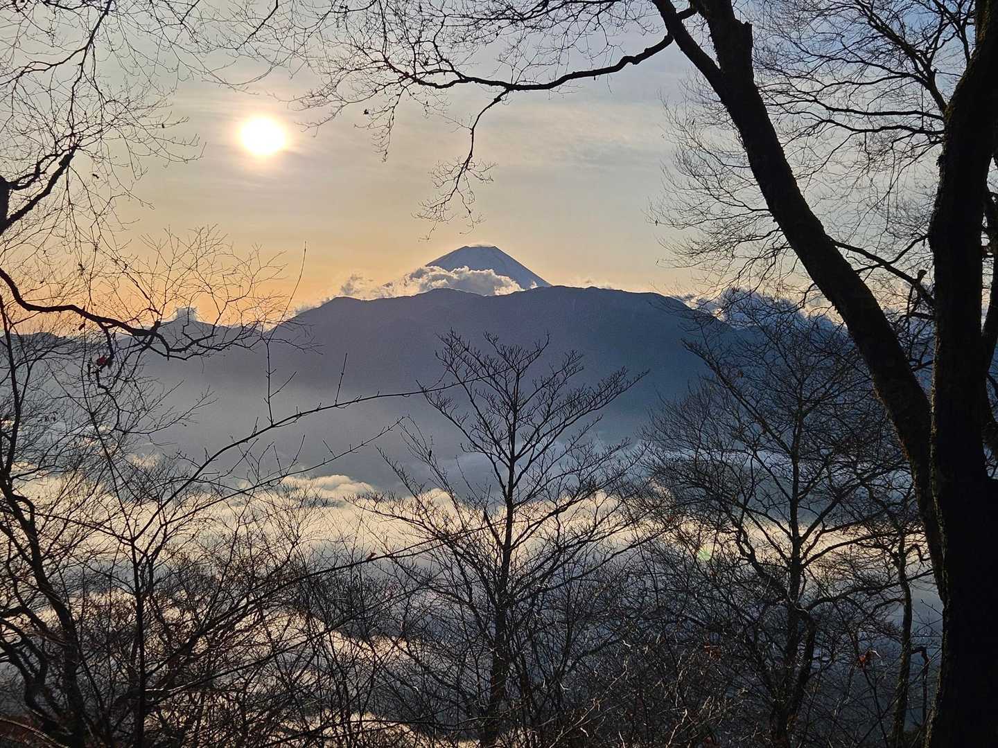 富士山と雲海🗻☁

早朝の景色が大好きです✨
