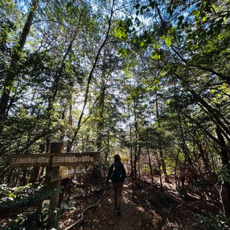 さて　下山⤵︎
