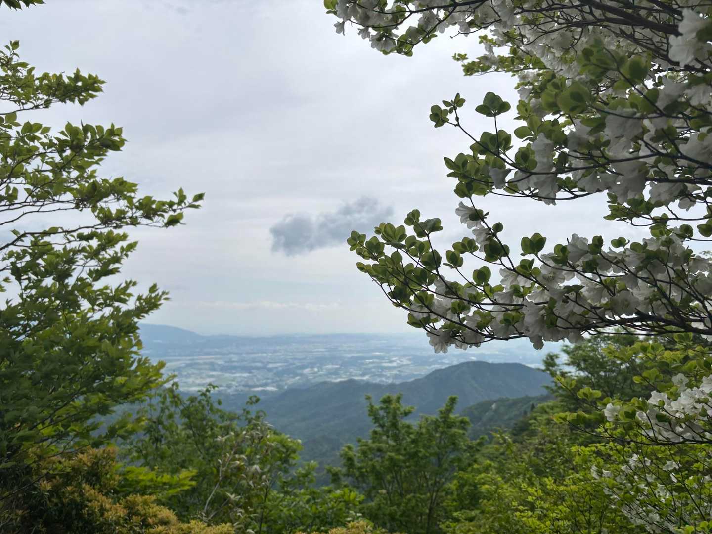石榑峠-三池岳 往復コースの写真