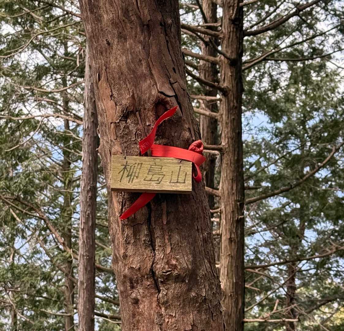 秋葉山（柳島山）登頂👏