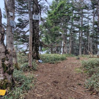 1.【🟢錫ヶ岳】[2388m]

・栃木百名山[22/100]
・栃木四天王[1/4]
・ぐんま百名山

やったぜ！🙌

ついに、栃木四天王の１座⛰️を獲得🚩🎉

右側奥に見えるモノは、御料局三角点🔺
(ツヤがあって？ご立派でした👍️✨)

《詳細》
標石材質　中粒黒雲母角閃石閃緑岩
刻字表面　御料局三角點　裏面：三等　上面：×
寸法形状　一辺が120㎜、高さ約750㎜の角柱
　　　　　　　上面角隅切りあり

これとは別の、国土地理院の三角点は、そこからスグ右👉️の所🔺
