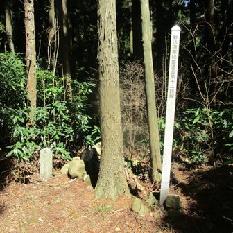 第12経塚「護摩のたわ朴留堤婆達多品」