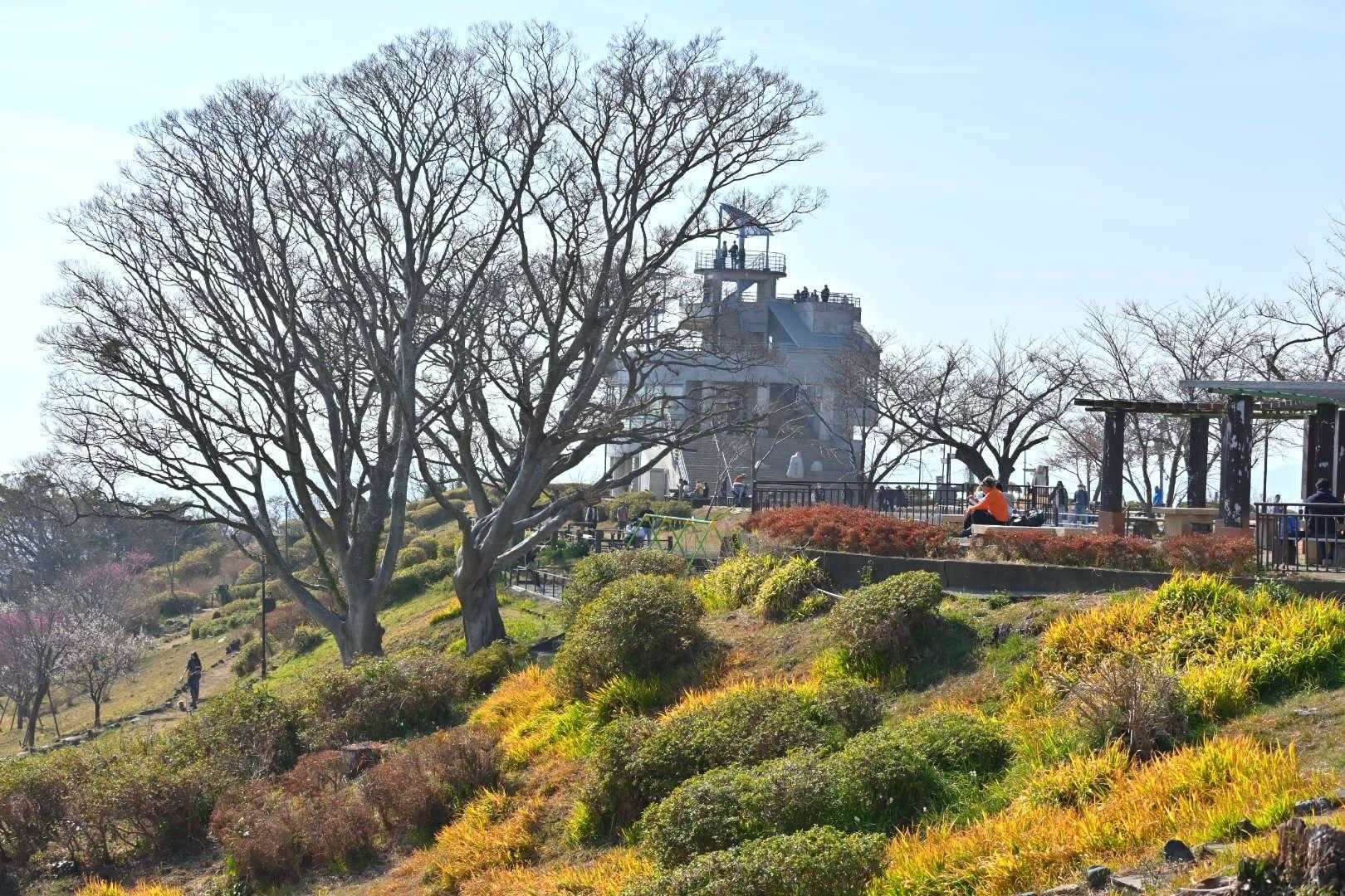 何故だろう、なんか秋🍂っぽい配色😅