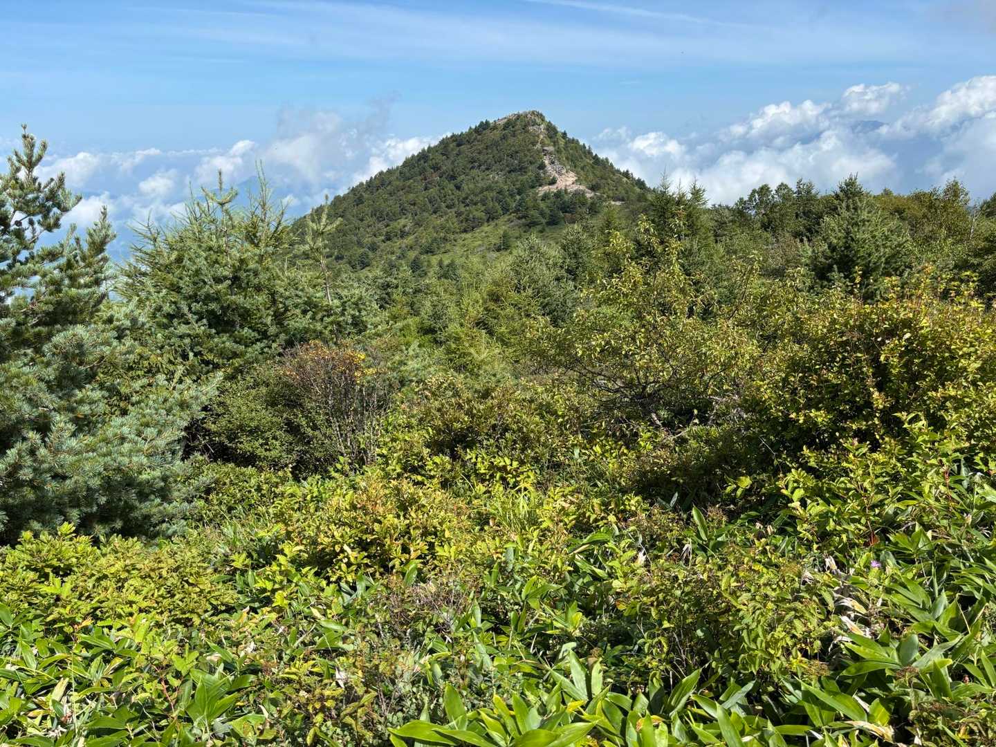 烏帽子岳