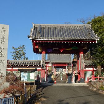 三河高野山　金剛寺

ゴールの🅿️はすぐそこだけどまだ歩きます。