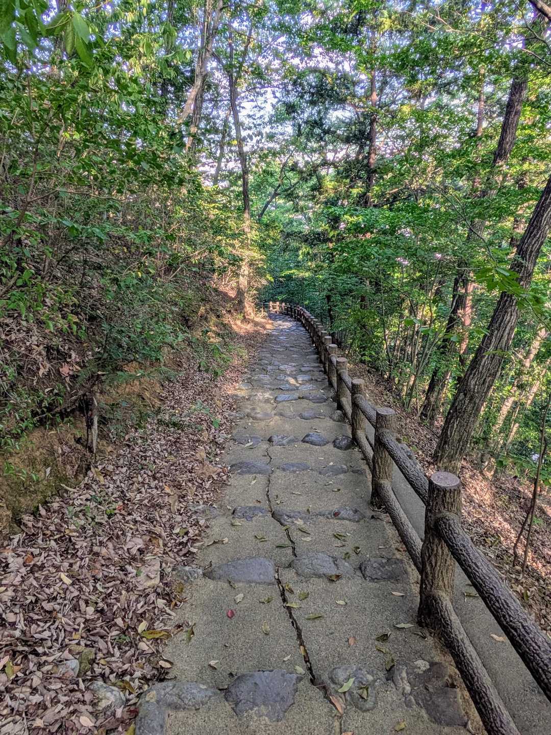 こっちの道も歩きやすい。この山のご常連らしき方にご挨拶をしながらサクサク下りていく。
