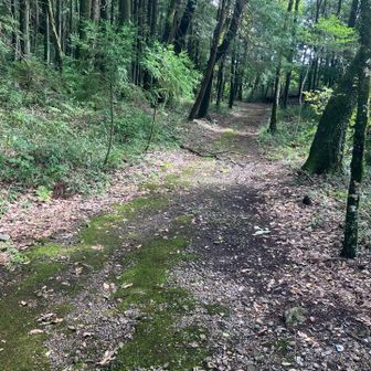 古墳の道に戻る。
ゴール間近！
1時間35分が経過。