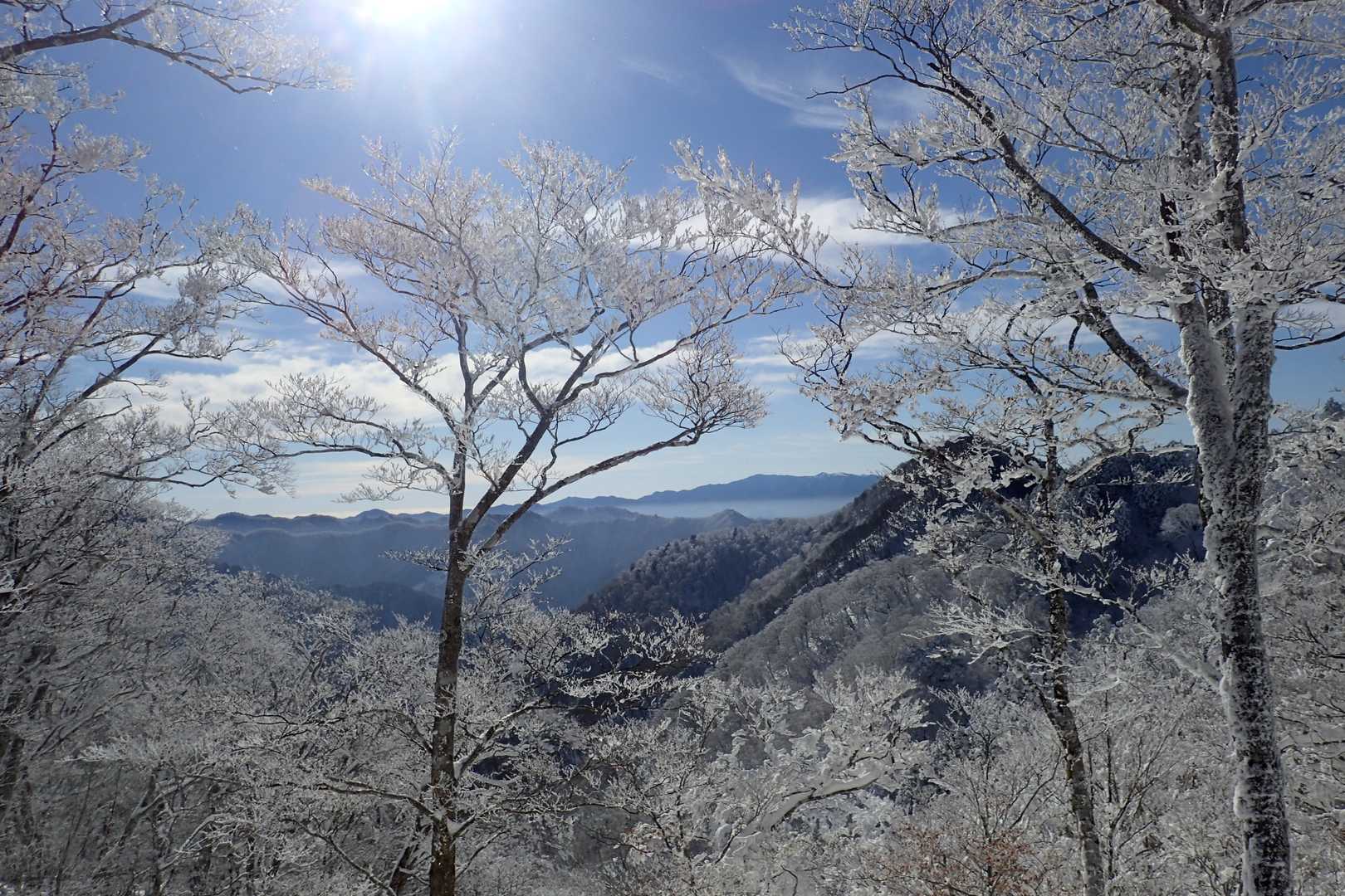 霧氷越しに。誰か登ってるんやろなぁ♬