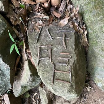 8月22日

