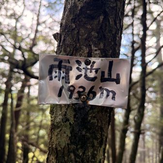 この渋さがまたいいんだわ