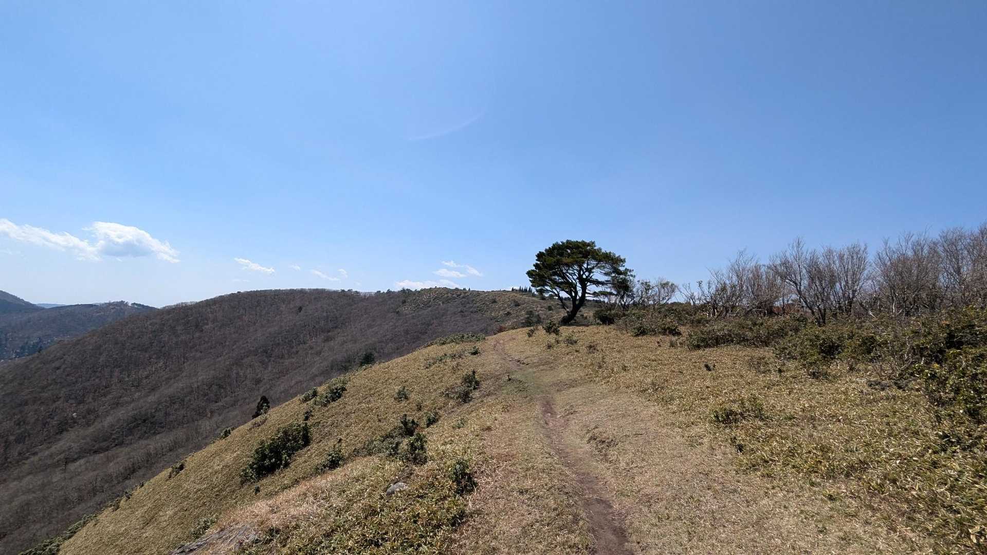 絵本にありそうな1ページ📸