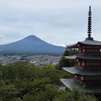 富士山と新倉山浅間公園忠霊塔
多くの海外からの人で賑わっています