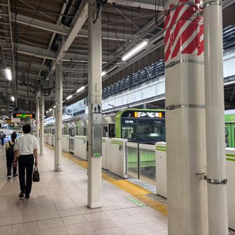 東京駅の複雑さに恐れをなしてましたが案内板をよく見れば何とかなりますね〜🤣

山手線ぐらいなら…🤣