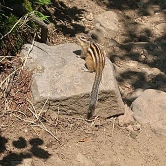 ＦＪふじのすけ