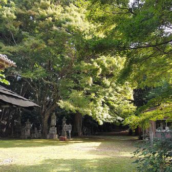 下山します