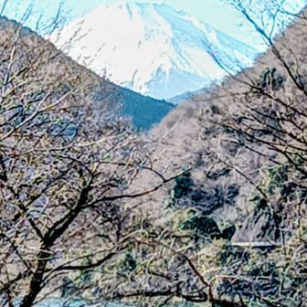 丹沢湖の向こうに富士山