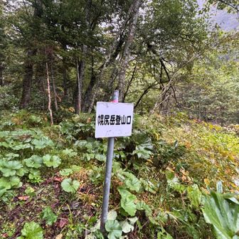 おはようございます。
２日目　山頂アタック。