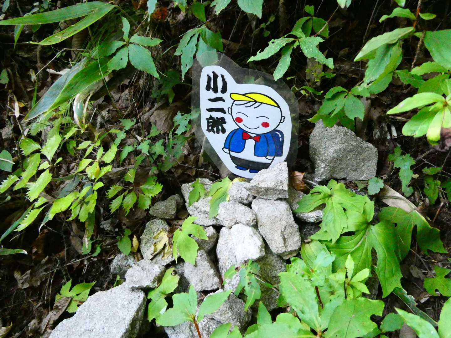 小二郎を見つけて無事に
下山しました