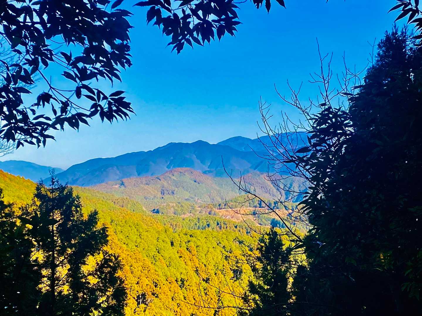 ⛰️✨✨
眺め良し👌