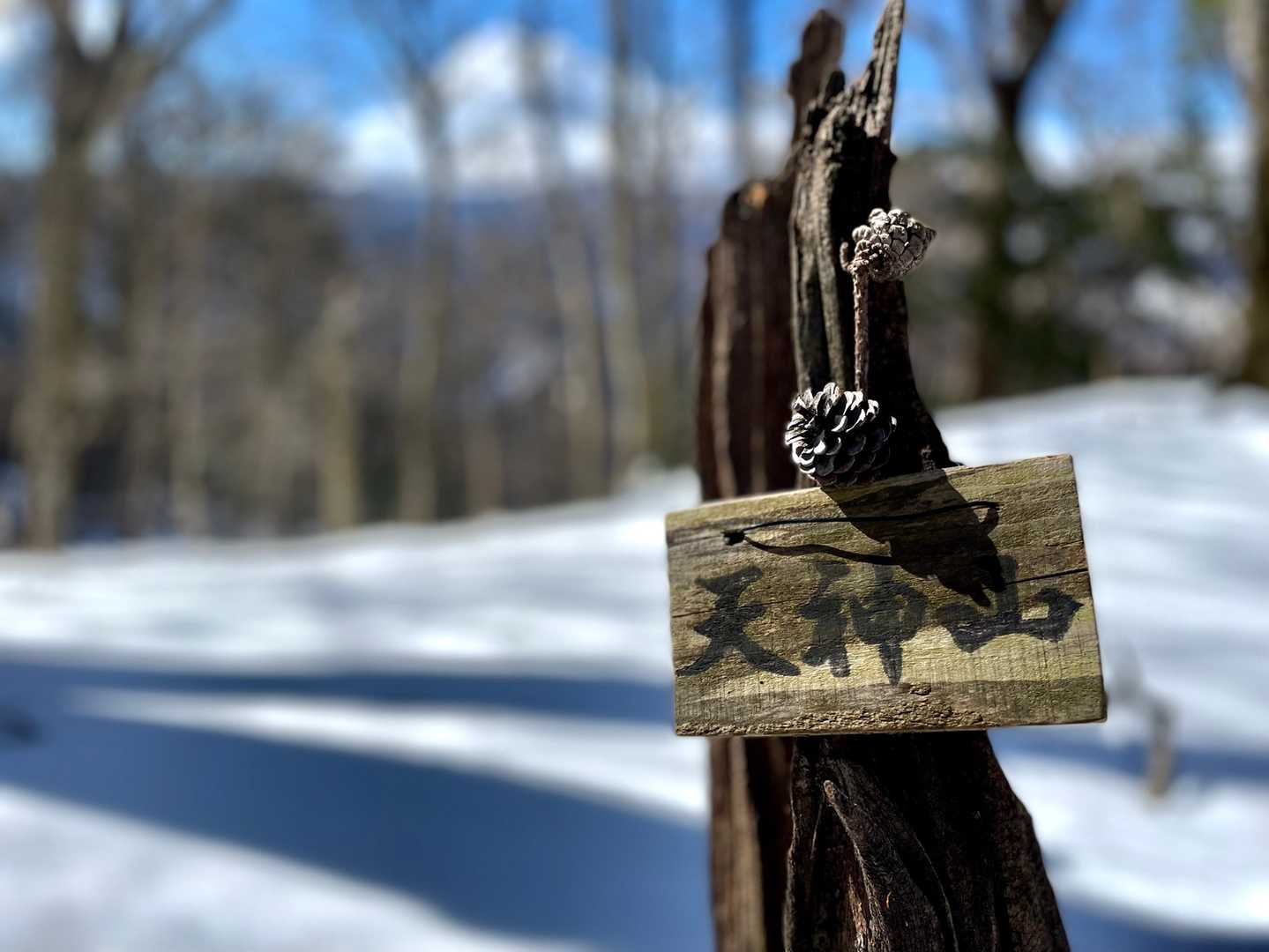 天神山に松ぼっくり
可愛いな♡