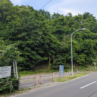 荒井山はなんか茂ってるのでパス