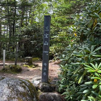 着いたー三宝山🙌埼玉県最高峰〽️
来たことあったけど、ヤマップのランドマーク🟩➞◻️へ
