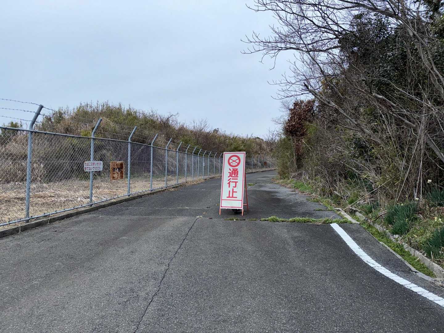 太華山-牧ヶ岳-水谷山 周回コースの写真