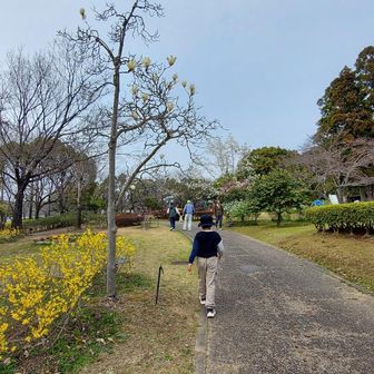 立派なきれいな公園だなあ。

次男にとってはYAMAP定数MAXだったが、元気に歩ききった❗️やったぜ‼️

今回の一番の目的は次男🧒のカロリー消費。
今回のカロリー消費量は、772kcal
（とーちゃんの体重で）
なかなかの消費量やな。やったぜ❗️

下山メシにマックで二人とも
てりたまバーガーセットを食べた🍔🍟🥤

帰宅したら、かーちゃんにめちゃ怒られた😡
「ポテト🍟もMやし、コーラ🥤もM⁉️　1000kcal以上あるで。意味ないやん！」
（計算したら1111kcalだった）
次男🧒めちゃ落ち込む。
涙目になってしもた🥺

ごめんよ、悪いのはとーちゃんや。
でも、頑張って歩いたことを褒めてやってくれ。。。