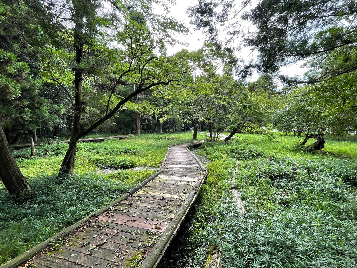 大谷山-野村坂 周回コースの写真