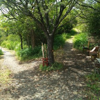 右は展望台があるようですが、登るのしんどいし、十分景色は見たので左に😅