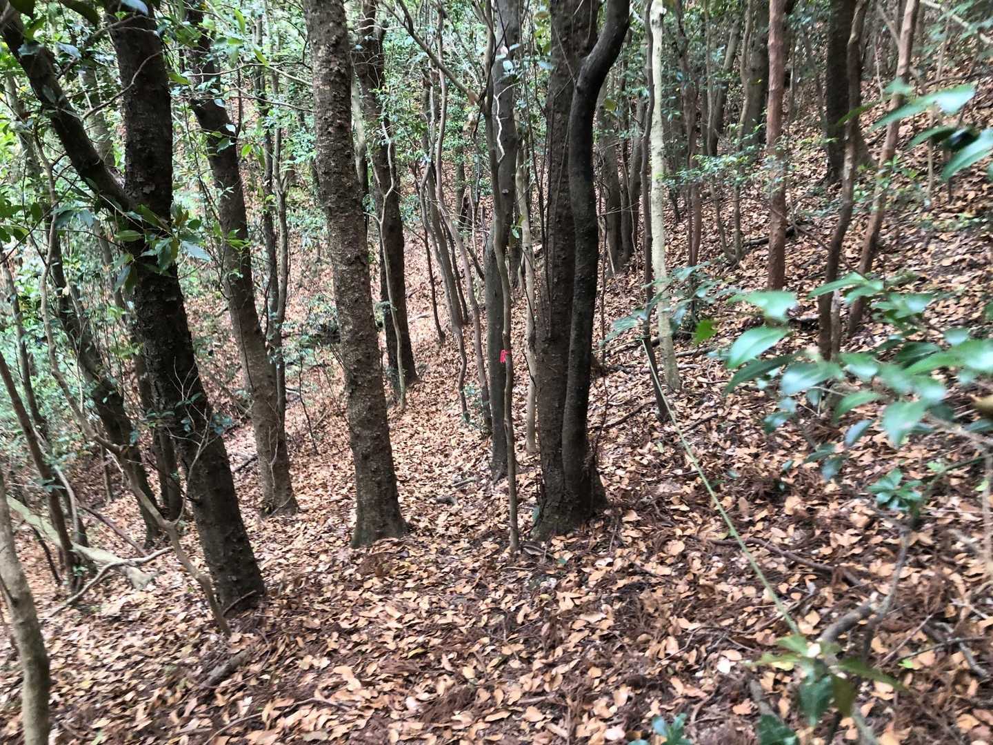 ロープ沿いに下山します💨