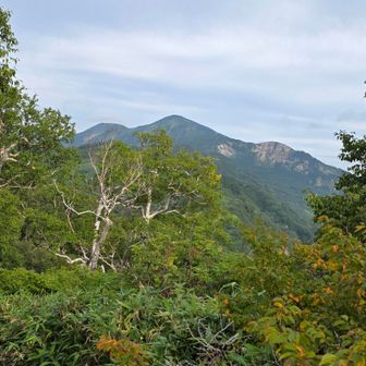 振り返って火打山