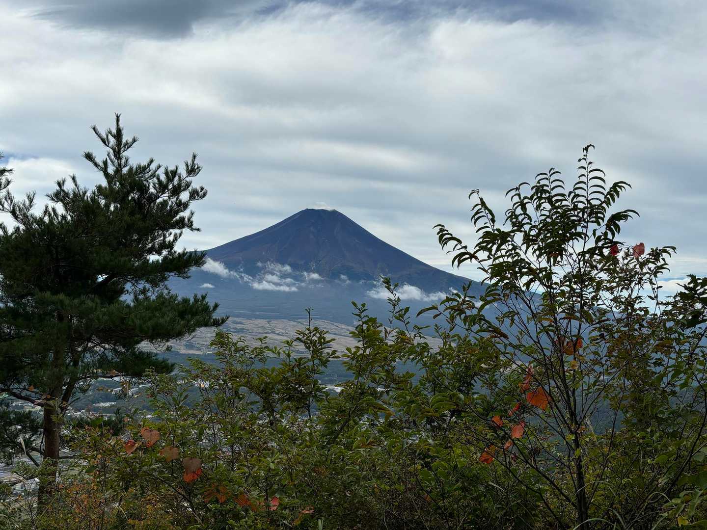 山頂からの富士山🗻