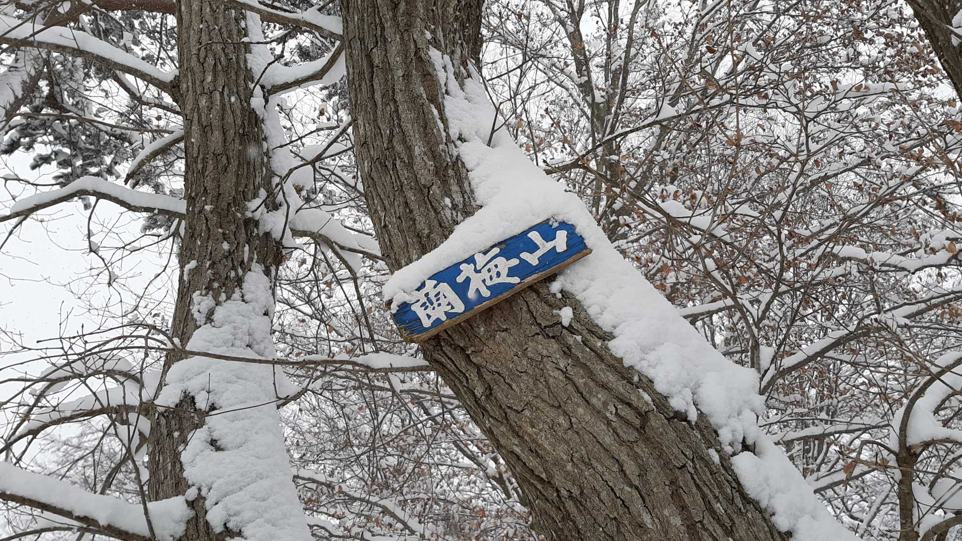 はい！青プレート名板