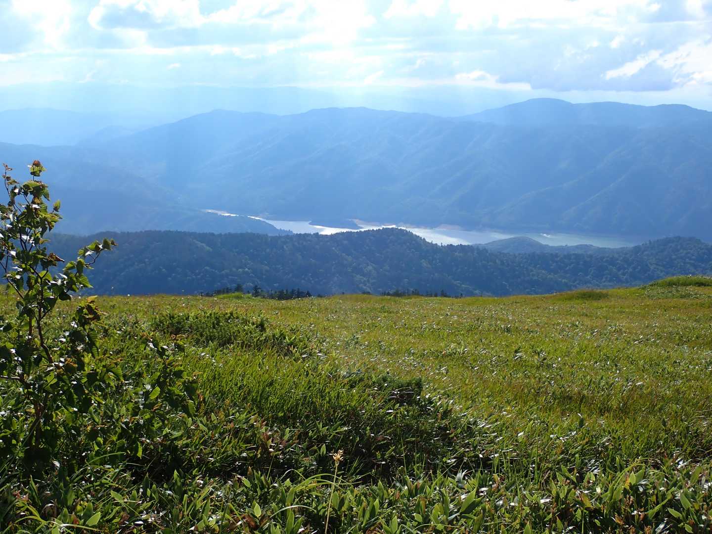 薬師岳登山口-五光岩ベンチ-太郎山 往復コースの写真