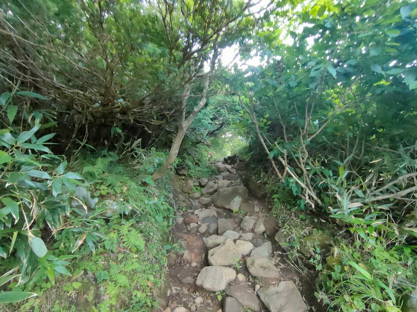 石がゴロゴロしていますね！🙄
AIに質問致しましたところ【磐梯山】は、主に【安山岩質の溶岩】や【火山灰】、【火山礫】などが“積み重なって”できた【成層火山】なのだそうです！