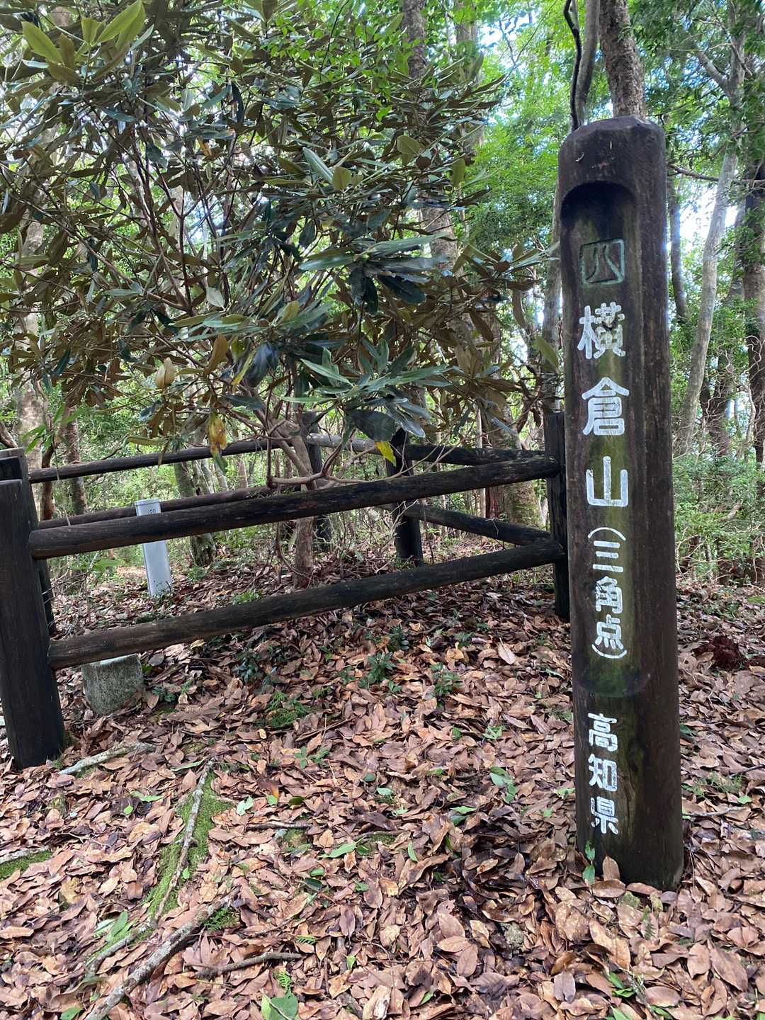 横倉山 周回コースの写真
