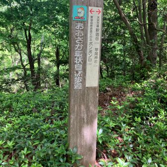 お釈迦さんへ