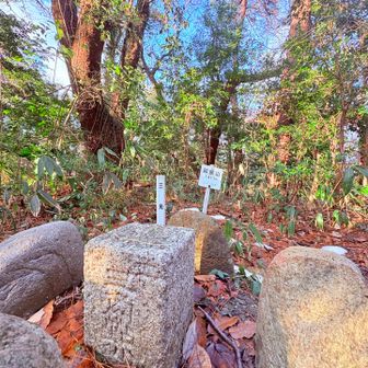 続いて卯辰山ピーク