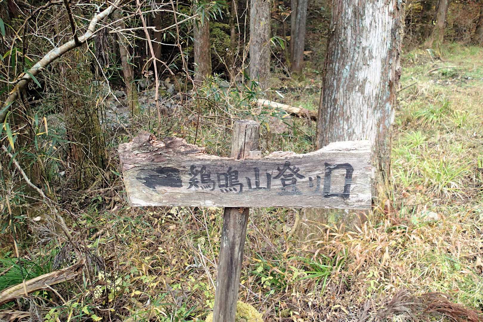 登山口ではなく「登り口」と言い張る看板🪧