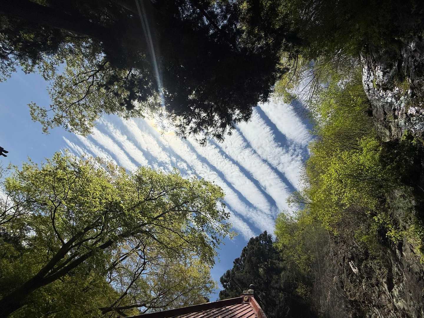 上を見上げると
面白い雲☁️が