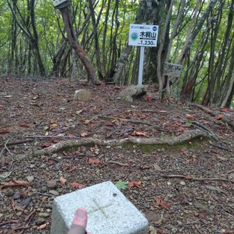 木梶山ピーク到着
展望はないです