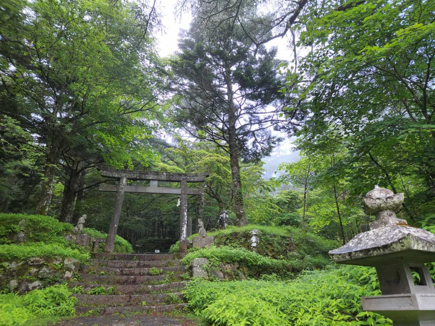 吉田口馬返-富士山 往復コースの写真